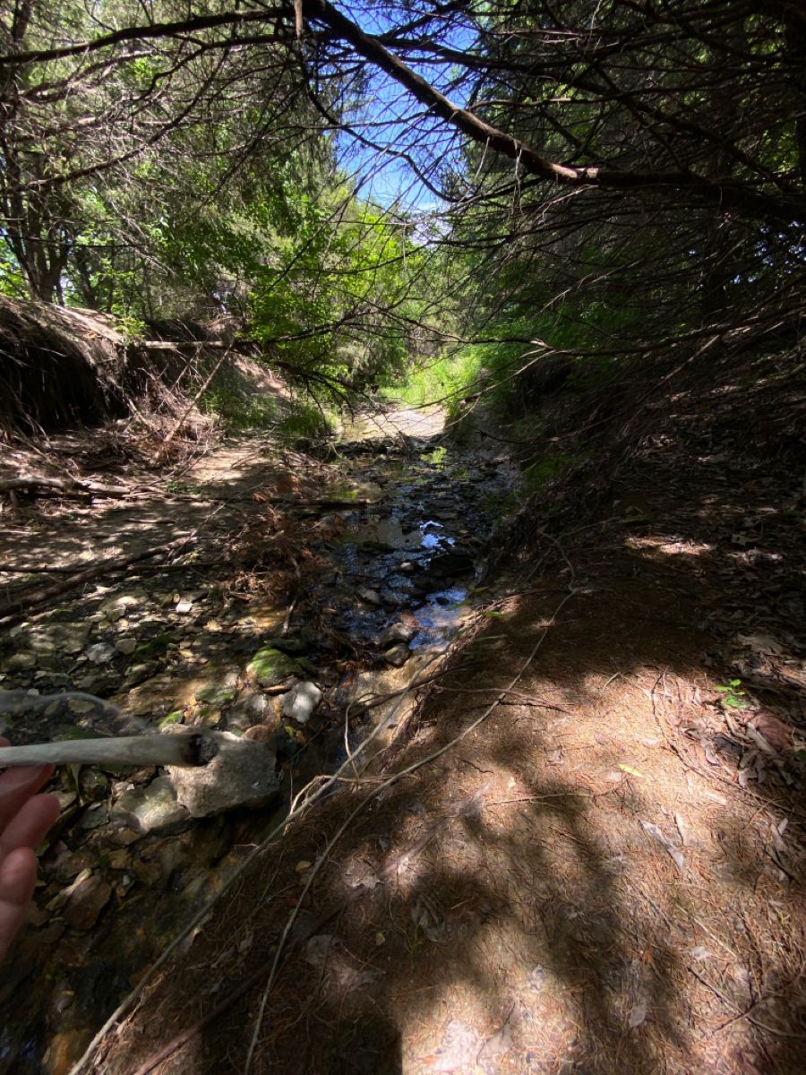 CBD in Bosnia — legal oils and products without high THC content